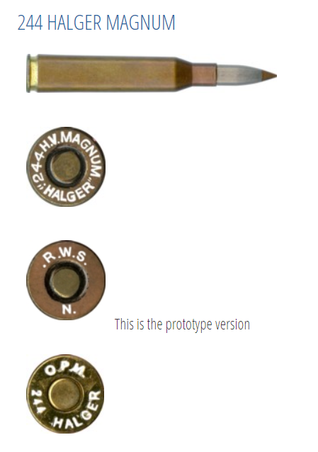 A photo of the .244 Halger Magnum, an early German hyper-velocity rifle cartridge.