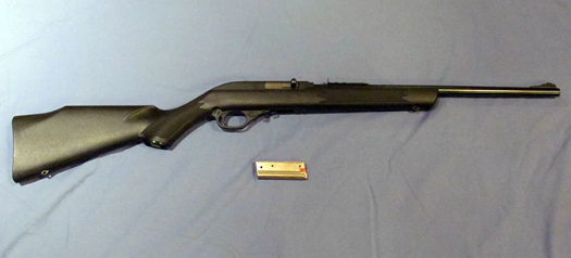 A photo of the Marlin 795, a semi-auto .22 rimfire rifle by Marlin.