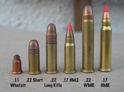 whatzit rimfire hmr wildcat cartridge cartridges magnum wmr hm2 attempts