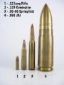 950-JDJ-SSK-Industries-Compared-22-Long-Rifle-223-30-06-Firearm-Wiki.jpg